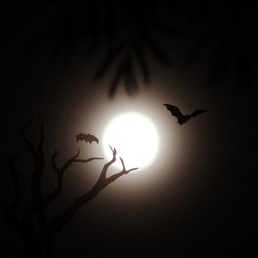 Soundbytes: Pop Music’s 5 Most Spook-tacular Halloween&nbsp;Songs